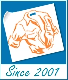  India Logo